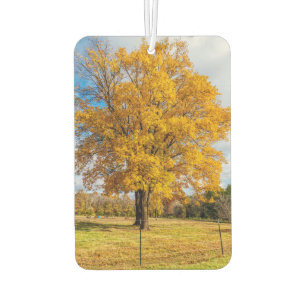 Autumn Yellow Sugar Maple Car Air Freshener