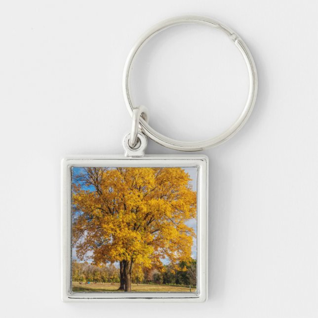 Autumn Yellow Sugar Maple Key Ring (Front)
