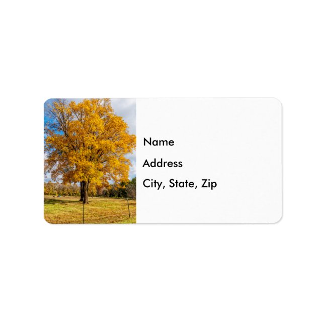 Autumn Yellow Sugar Maple Label (Front)