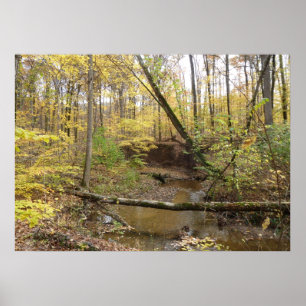 Autumn Yellow Trees at the Stream Poster