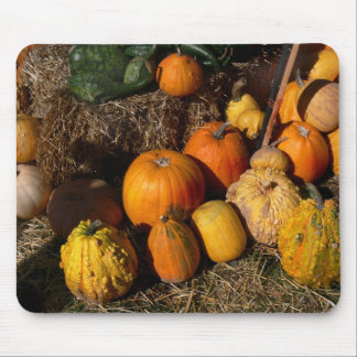 autumnal abundance mouse mat