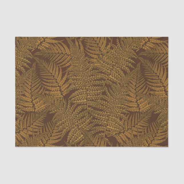 Autumnal fern on brown tissue paper (Front)