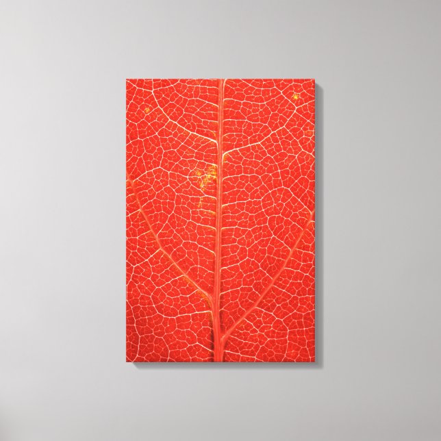 Autumnal Leaf Canvas Print (Front)