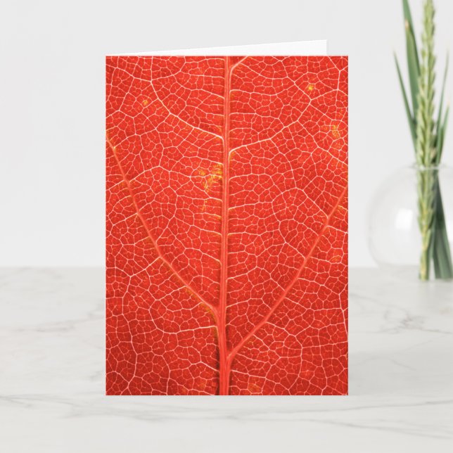 Autumnal Leaf Card (Front)