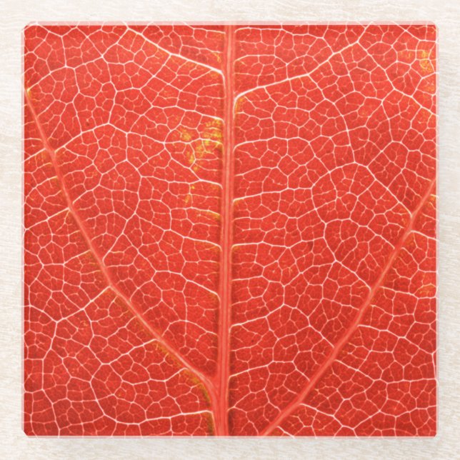 Autumnal Leaf Glass Coaster (Front)