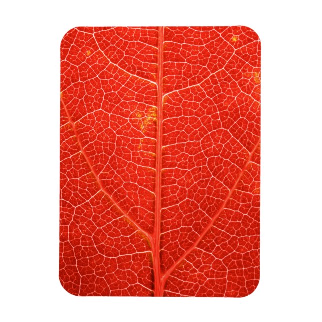 Autumnal Leaf Magnet (Vertical)