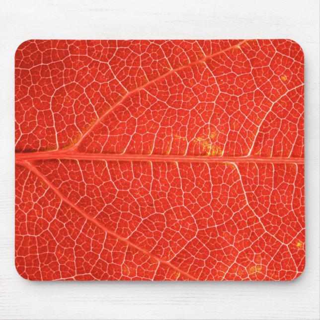 Autumnal Leaf Mouse Mat (Front)