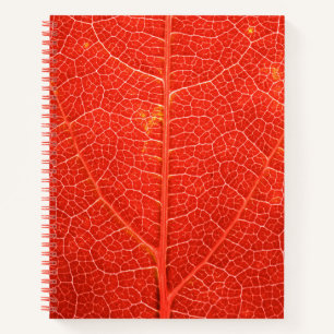 Autumnal Leaf Notebook