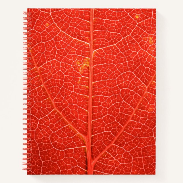 Autumnal Leaf Notebook (Front)