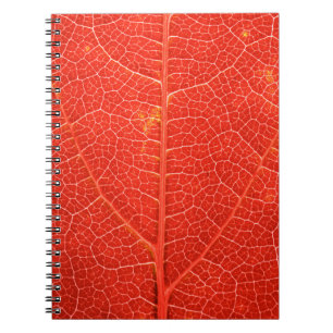Autumnal Leaf Notebook