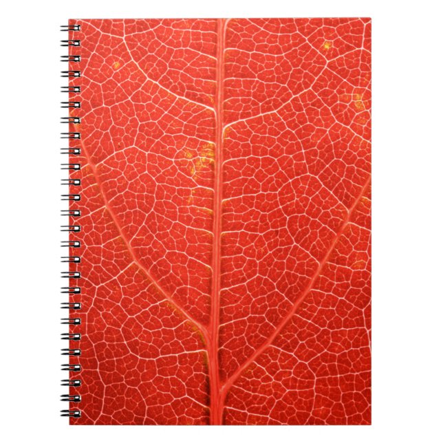 Autumnal Leaf Notebook (Front)