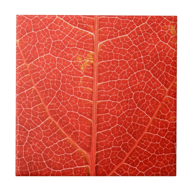 Autumnal Leaf Tile (Front)