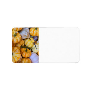Autumnal pumpkins and gourds label