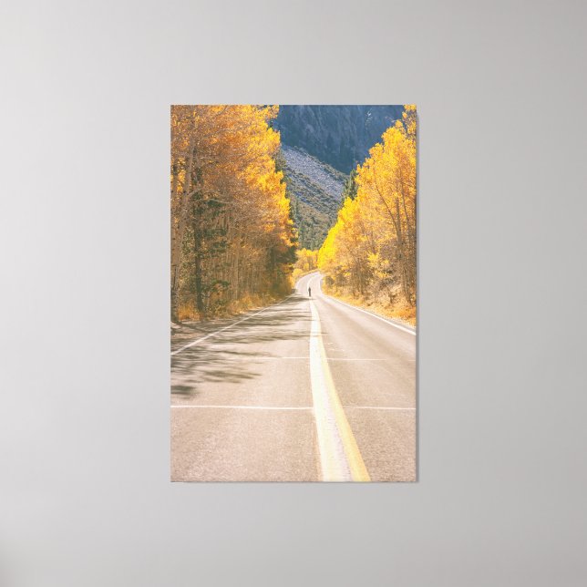 Autumnal Road Canvas Print (Front)