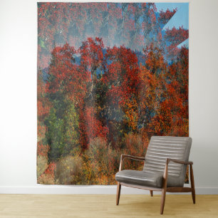 Autumnal trees.... tapestry