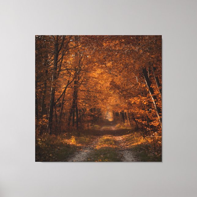 Autumn's Embrace – Tranquil Forest Path Fine Art P Canvas Print (Front)