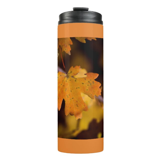 Autumns Falling Thermal Tumbler (Front)