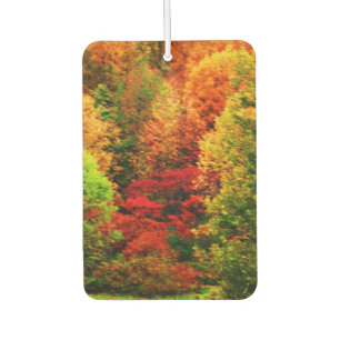 AUTUMNS GLORY  CAR AIR FRESHENER