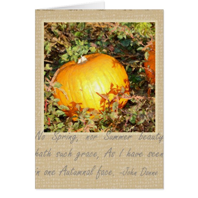Autumn's Grace (Front)