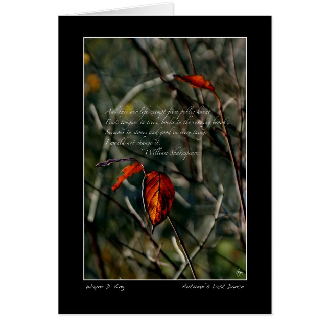 Autumns Last Dance with Shakespeare (Front)