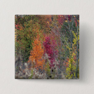Autumn's Palette Button