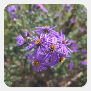Autumn's Purple Glow Square Sticker