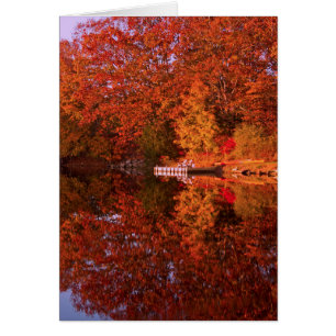Autumn's Reflection