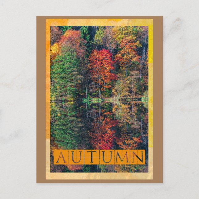 Autumns Reflection Postcard (Front)