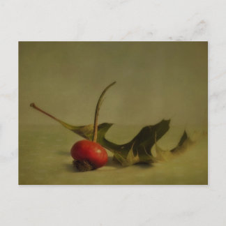 Autumns still life postcard