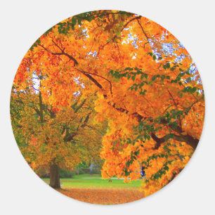 Autumn's Wealth Classic Round Sticker