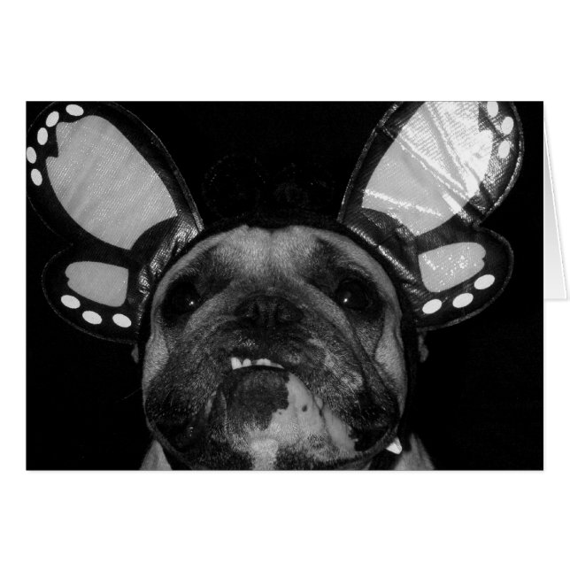 Ava Butterfly Cards (Front Horizontal)