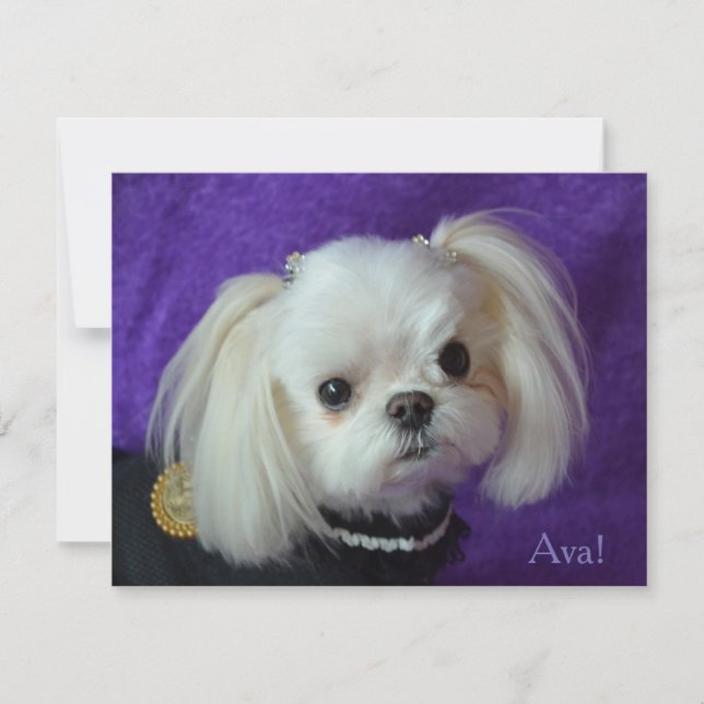 Ava Note cards (Front)