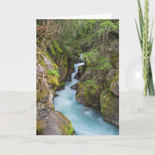 Avalanche Creek, Glacier National Park, Montana Card