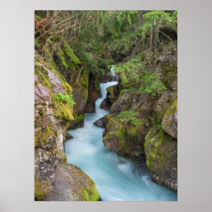 Avalanche Creek, Glacier National Park, Montana Poster