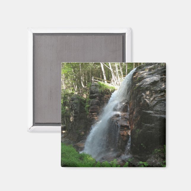 Avalanche Falls Magnet (Front/Back)