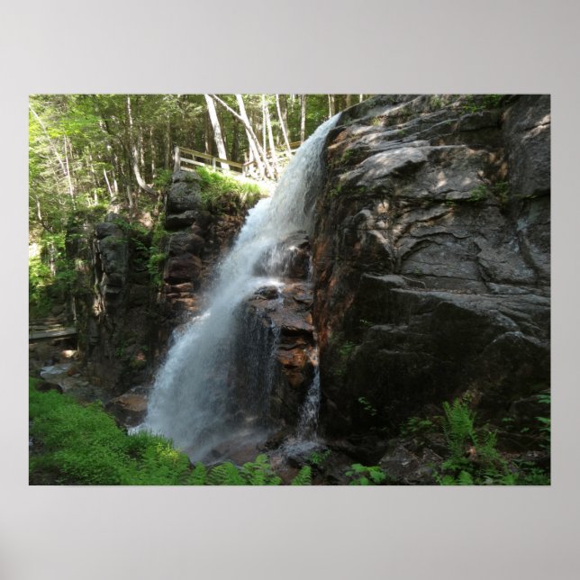 Avalanche Falls Poster (Front)