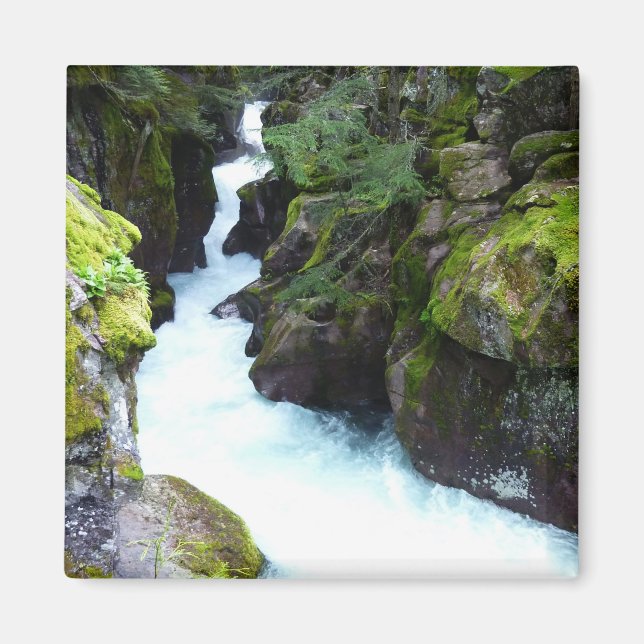 Avalanche Gorge I at Glacier National Park Magnet (Front)