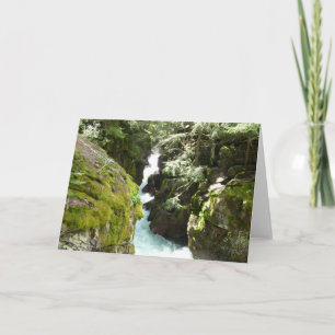 Avalanche Gorge II at Glacier National Park Card