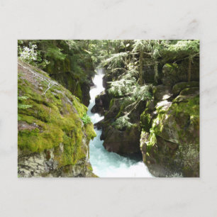 Avalanche Gorge II at Glacier National Park Postcard