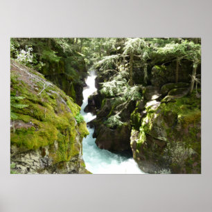 Avalanche Gorge II at Glacier National Park Poster