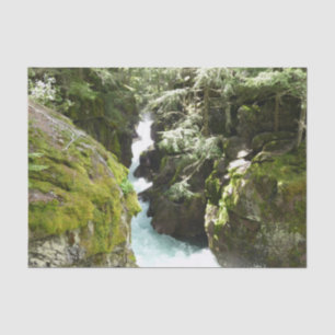 Avalanche Gorge II at Glacier National Park Tissue Paper