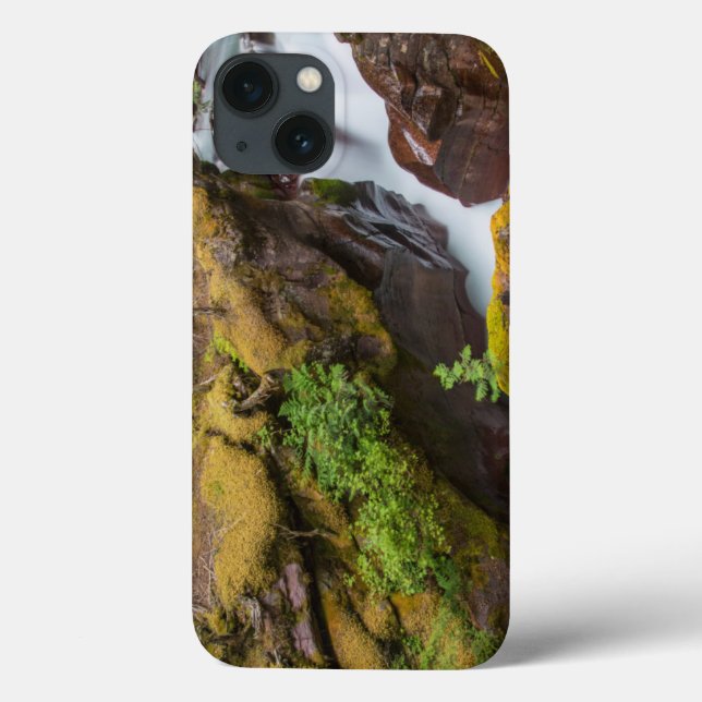 Avalanche Gorge In Glacier National Park Case-Mate iPhone Case (Back)