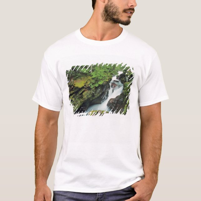 Avalanche Gorge in Glacier National Park in T-Shirt (Front)