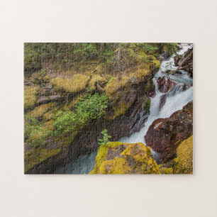 Avalanche Gorge In Glacier National Park Jigsaw Puzzle