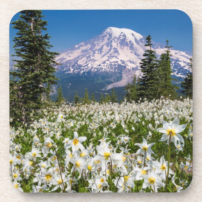 Avalanche lilies and Mount Rainier 2 Coaster (Front)