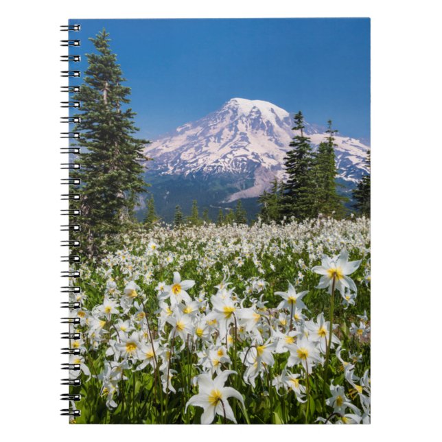 Avalanche lilies and Mount Rainier 2 Notebook (Front)