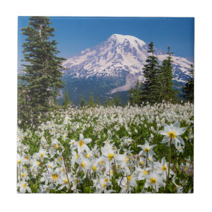 Avalanche lilies and Mount Rainier 2 Tile