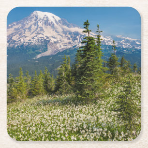 Avalanche lilies and Mount Rainier Square Paper Coaster