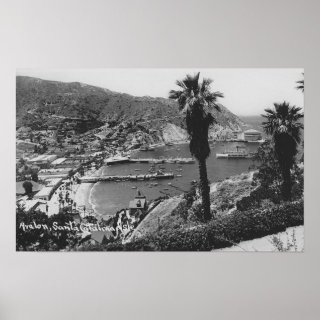 Avalon, CA Santa Catalina Island View of Harbor Poster (Front)