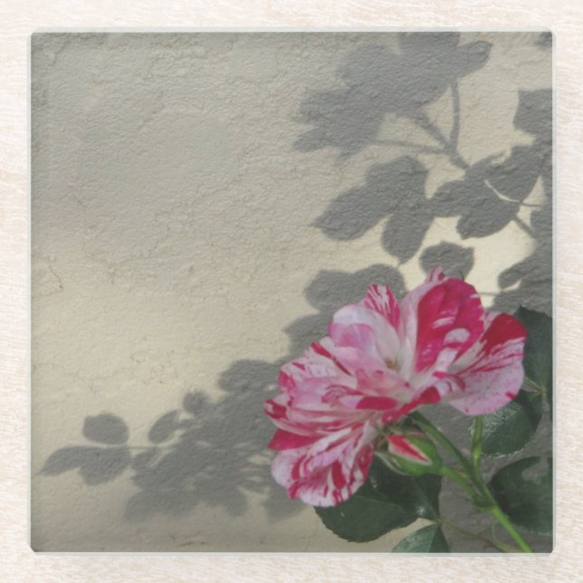Avant-garde Rose and Shadow Glass Coaster (Front)